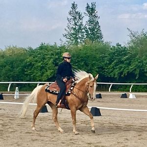 Meet your Posher, Kay